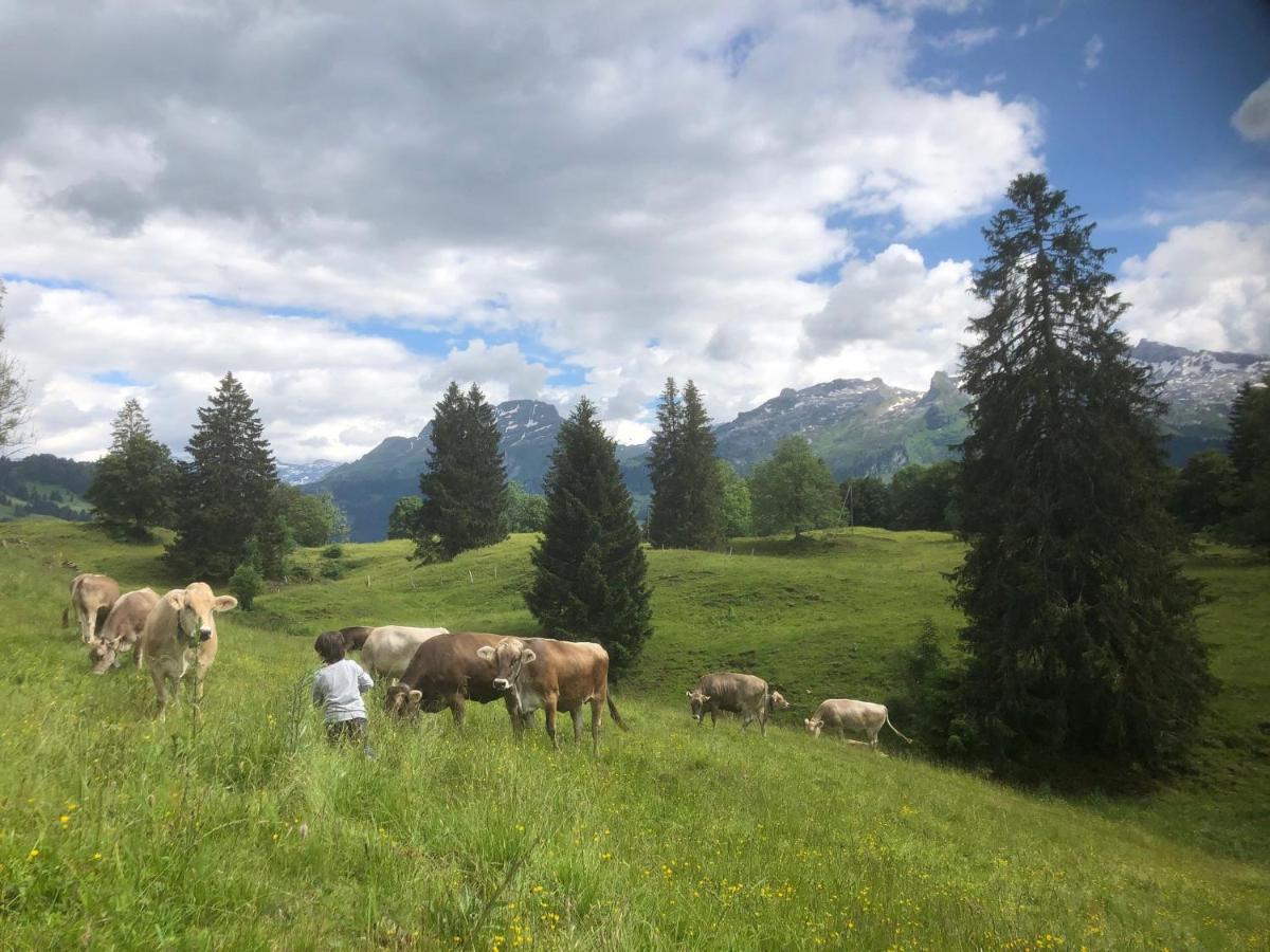 Ferienwohnungen Mit 4 Betten In Gersau Direkt Am Vierwaldstaettersee Kültér fotó